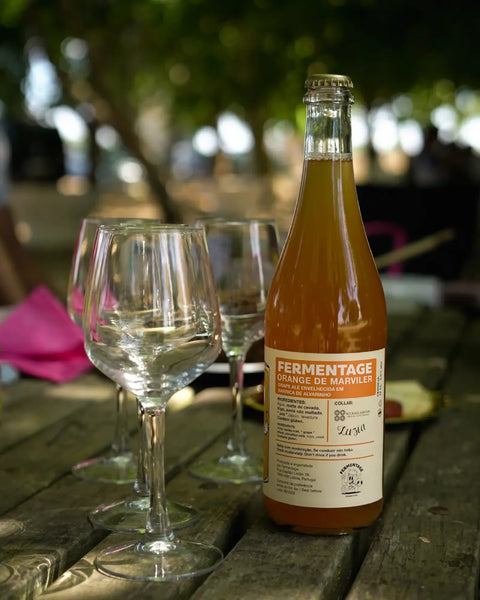 fermentage_orange_Marviler_vs